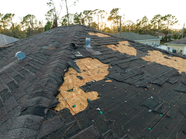 Best Steel Roofing  in Hampton, GA