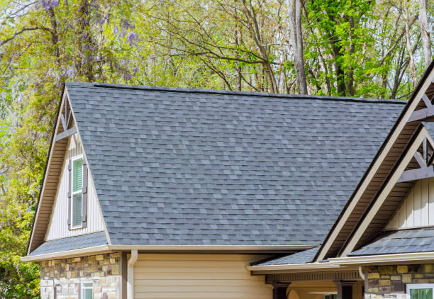 Best Roof Moss and Algae Removal  in Hampton, GA