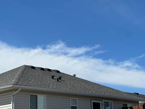 Best Roof Coating and Sealing  in Hampton, GA